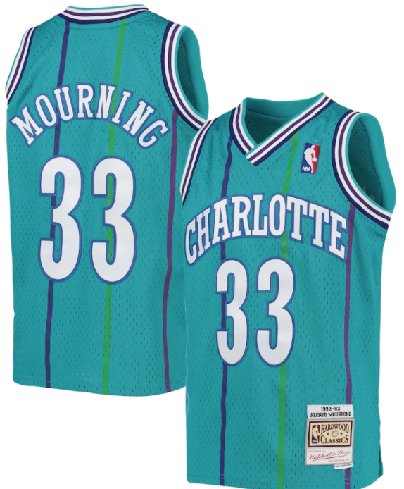 Charlotte Hornets Alonzo Mourning 1992-93 Mitchell & Ness product image 1