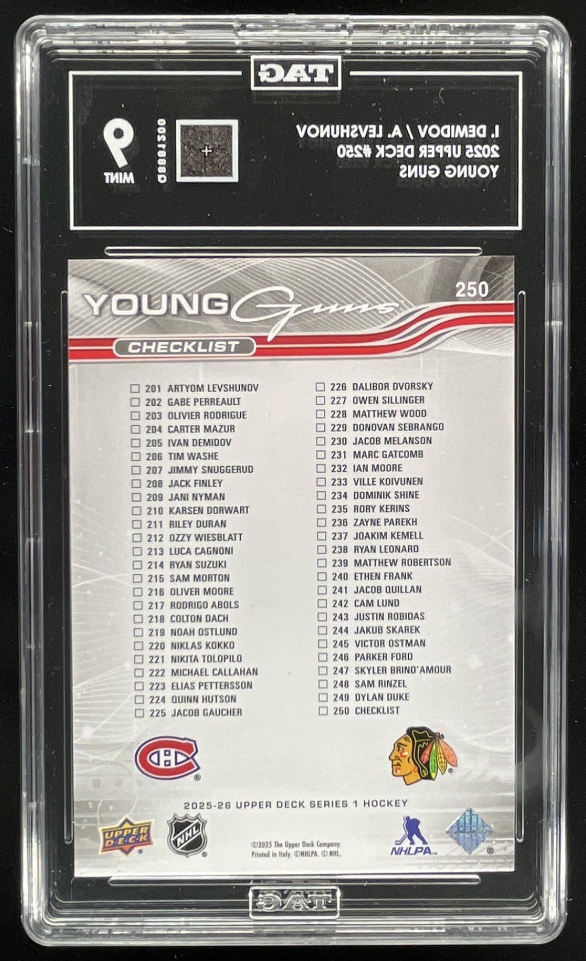 2025 Upper Deck Young Guns CL #250 Ivan Demidov Artyom Levshunov TAG 9 product image 2, provided for visual reference and