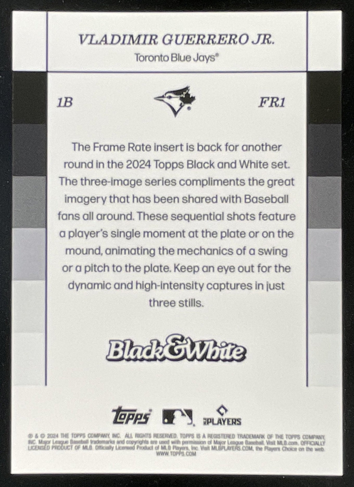 2024 Topps Black & White Frame Rate Purple #FR1 Vladimir Guerrero Jr./25 product image 2, provided for visual reference and