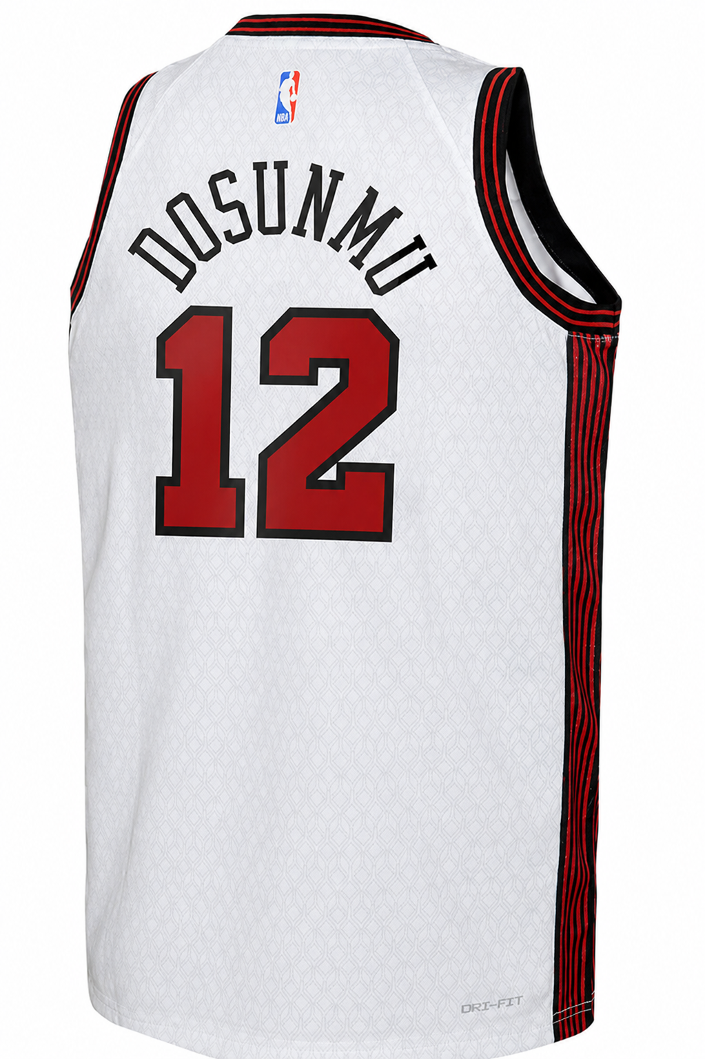 Nike 2022-23 City Edition Chicago Bulls Ayo Dosunmu #12 product image 2
