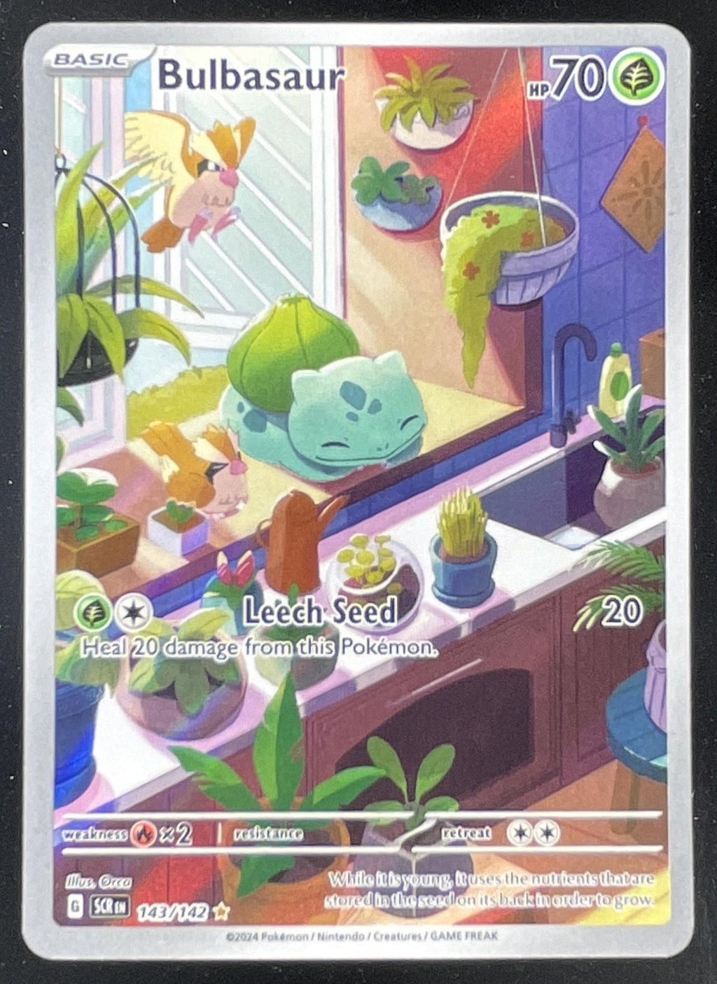 2024 Pokemon Stellar Crown #143/142 Bulbasaur Illustration Rare product image 1, provided for visual reference and product