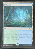 Magic The Gathering Japanese Misty Rainforest - Modern Horizons 2 MH2 product image 1, provided for visual reference and